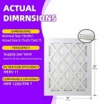 10x30 MERV 11 Pleated Air Filter (6-Pack)