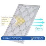 Nordic Pure MERV 6 Air Filters - 2-Pack