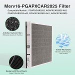 MERV 16 Replacement Filter for PGAPXCAR2025 (2 Pack)