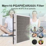 MERV 16 Replacement Filter for PGAPXCAR2025 (2 Pack)