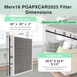 MERV 16 Replacement Filter for PGAPXCAR2025 (2 Pack)