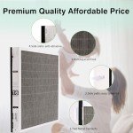 MERV 16 Replacement Filter for PGAPXCAR2025 (2 Pack)