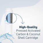 Dacor EF36BNDFSS Water Filter 2-Pack Replacement