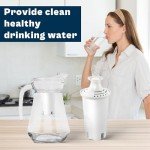 Replacement Water Filters for B.rita Pitchers - 8-Pack