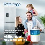 Waterdrop Refrigerator Water Filter 2-Pack