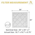 MervKing 20x20x1 MERV 8 Air Filter 2-Pack