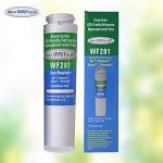Aqua Fresh WF281 Water Filter Compatible with GE GSWF