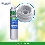 Aqua Fresh WF281 Water Filter Compatible with GE GSWF