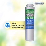 Aqua Fresh WF281 Water Filter Compatible with GE GSWF