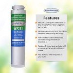 Aqua Fresh WF281 Water Filter Compatible with GE GSWF