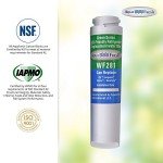 Aqua Fresh WF281 Water Filter Compatible with GE GSWF