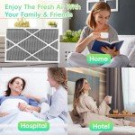 MERV 16 Carbon-Clean Air Filter 2 Pack