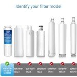 EcoAqua Refrigerator Water Filter Replacement, 2 Pack