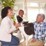 Premium MERV 13 Air Filter 2-Pack, 16x25x4