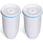 Zero Water Filters Replacement, 2-Pack Compatible