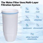 Zero Water Filters Replacement, 2-Pack Compatible