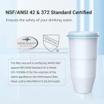 Filterlogic Certified Water Filters for Pitchers & Dispensers