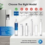 Waterdrop Plus 4396508 Refrigerator Water Filter 2-Pack