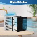 DerBlue 6PK HEPA and Pre-Filters for Holmes