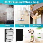 DerBlue 6PK HEPA and Pre-Filters for Holmes