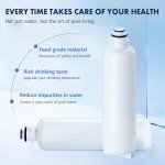 BOGDA Replacement Water Filter 2-Pack for Bosch