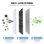 20x25x5 MERV 16 Carbon Air Filter (2 Pack)