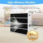 Znnam X8788 MERV 16 Carbon Air Filter 2-Pack