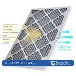 Nordic Pure MERV 8 Air Filters 2-Pack