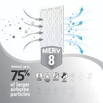 Enviroflow 20x22 Pollen & Dust AC Filters, Pack of 4