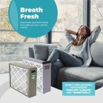 Honeywell 20x20x4 MERV 11 Air Filters, 2-Pack