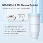 Filterlogic Water Filters for Pitchers and Dispensers