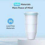 Filterlogic Water Filters for Pitchers and Dispensers