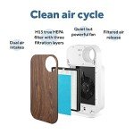 H13 True HEPA Replacement Filter for OVAL AIR