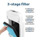 H13 True HEPA Replacement Filter for OVAL AIR