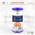 Aquaboon 1 Micron Pleated Water Filters - 2-Pack