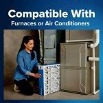 Filtrete MERV 13 AC Air Filter 2-Pack