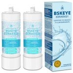 Bskeye EDRARXD1 Replacement Water Filter (2 Pack)