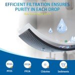 Bskeye EDRARXD1 Replacement Water Filter (2 Pack)