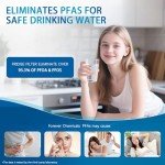 Bskeye EDRARXD1 Replacement Water Filter (2 Pack)