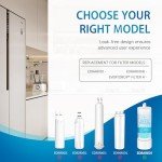 Bskeye EDRARXD1 Replacement Water Filter (2 Pack)