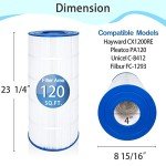 C1200 Pool Filter Cartridge Replacement Options