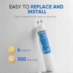 PUREPLUS Refrigerator Water Filter 2-Pack Compatible