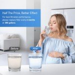 TEEHAY Water Filter Replacement for Electrolux and Frigidaire