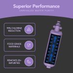 LG LT700P & Kenmore Water Filter 2-Pack