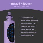 LG LT700P & Kenmore Water Filter 2-Pack