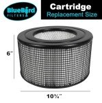 BlueBird HEPA & Carbon Filter Kit for Honeywell