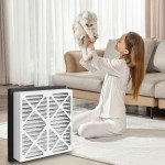 20x20x3 MERV 13 Pleated Air Filter 2-Pack