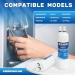 DESENRUIS Water Filter Replacement, Pack of 2