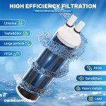 DESENRUIS Water Filter Replacement, Pack of 2