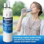 DESENRUIS Water Filter Replacement, Pack of 2